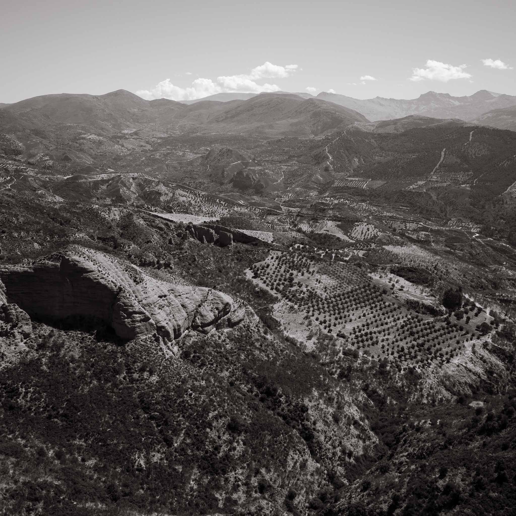 Cover image: Beas De Granada