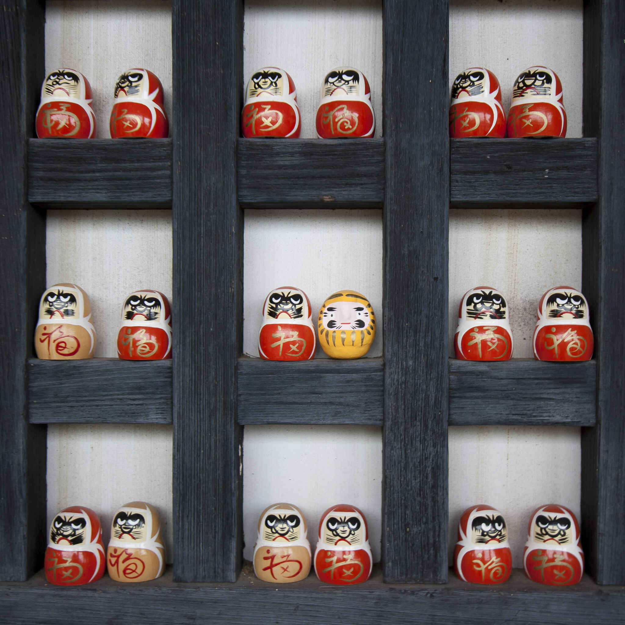 Cover image: Being Different