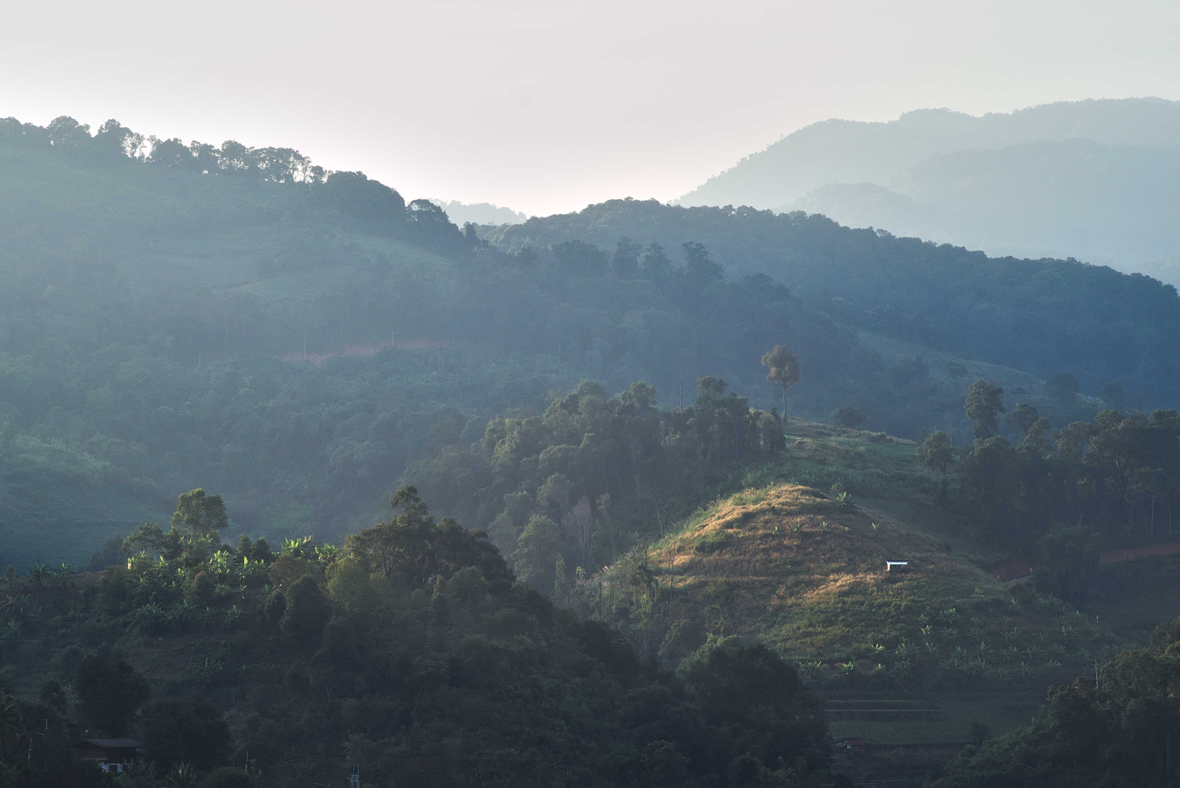 Cover image: Chiang Mai Mood