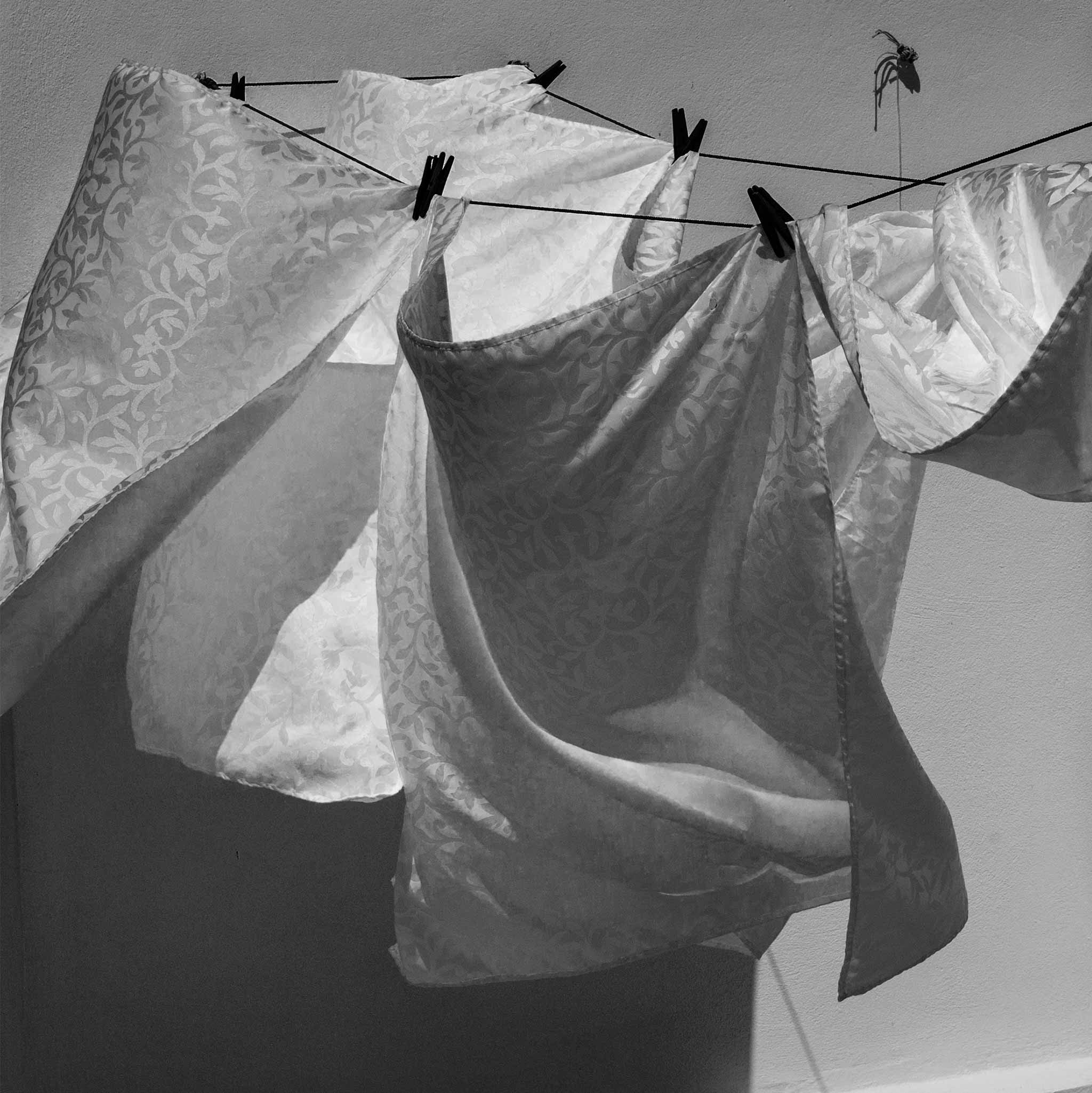 Cover image: Storm and Laundry