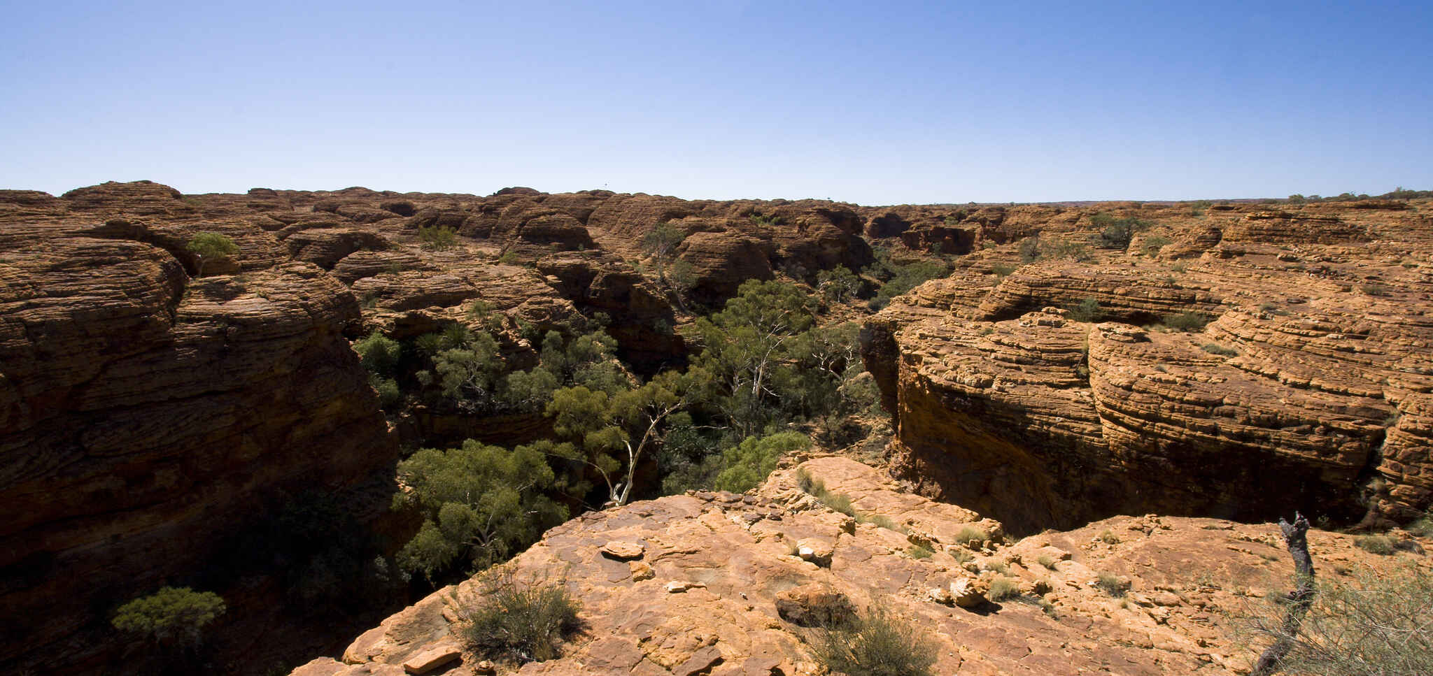 Cover image: Watarrka Domes